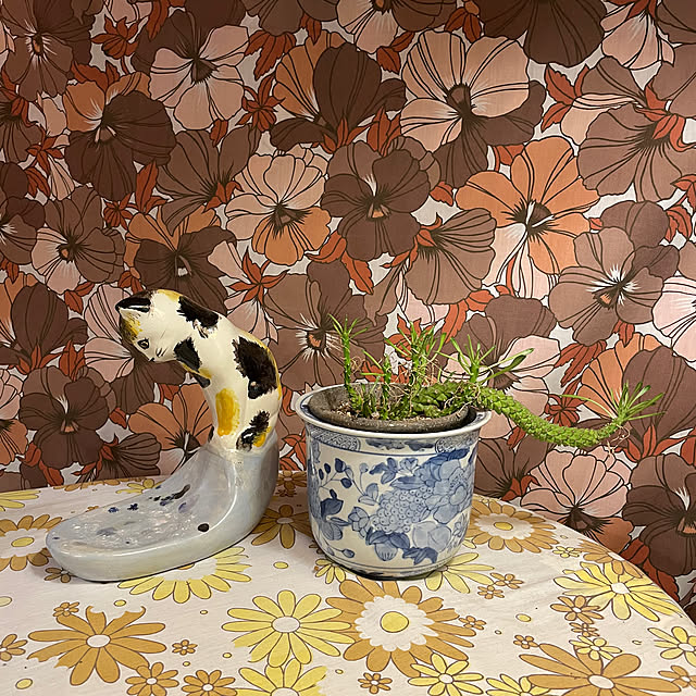 shin0719さんの部屋