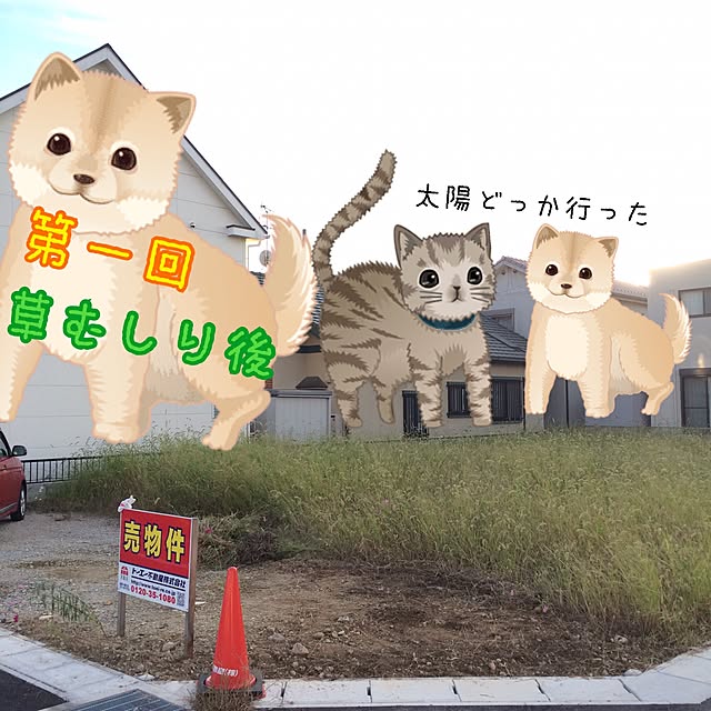 sallyさんの実例写真