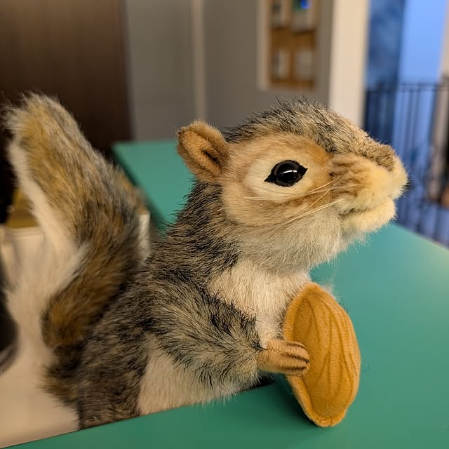 Walnutさんの実例写真