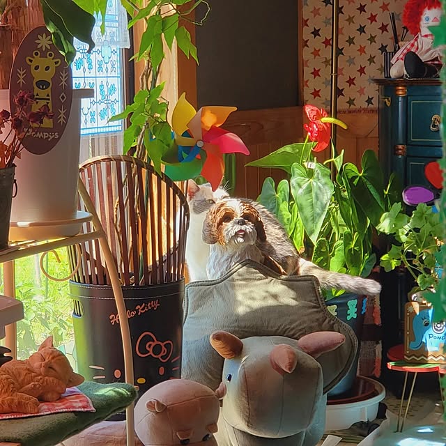 kumutanさんの実例写真