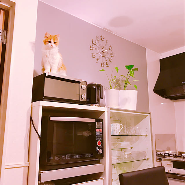 H.Tさんの実例写真