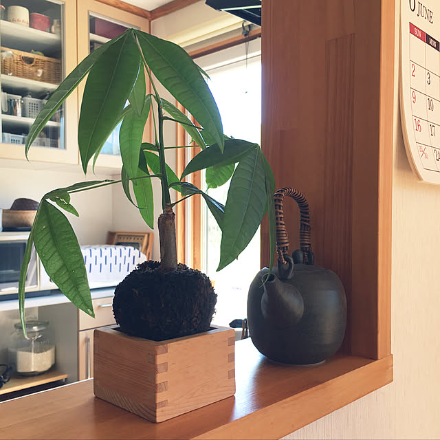 ivoryさんの実例写真
