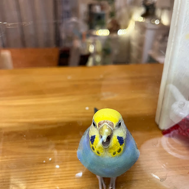 Atsukoさんの部屋