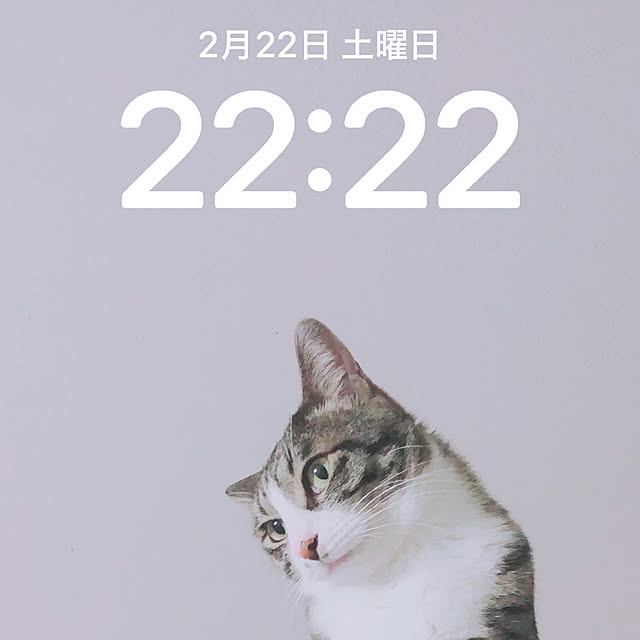 milkcocoaさんの実例写真