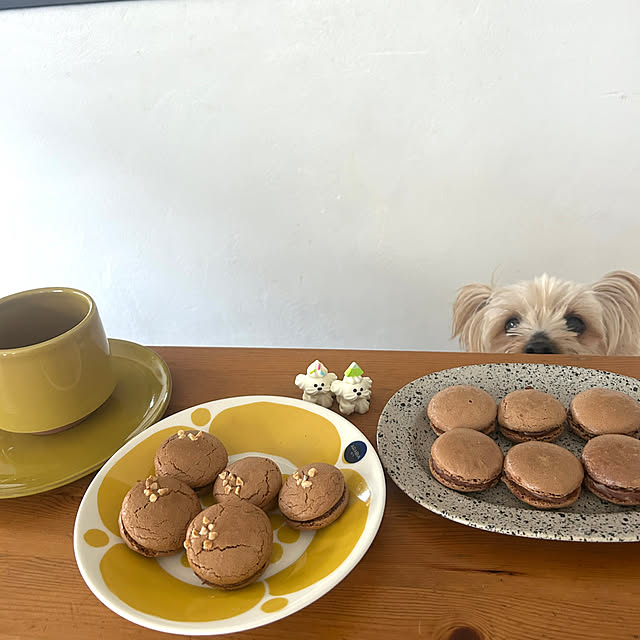 kitoneさんの部屋