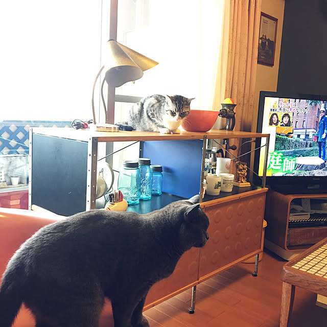 Shojiさんの実例写真