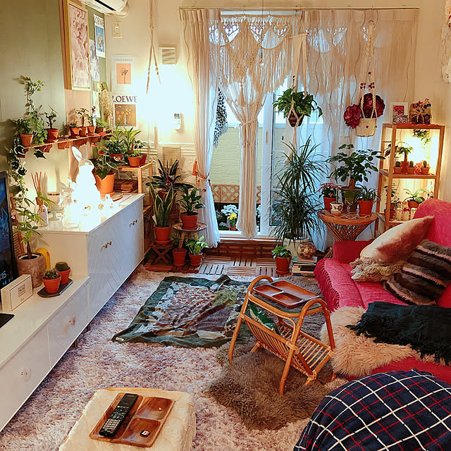 植物/観葉植物/観葉植物のある暮らし/賃貸暮らし/お花...などのインテリア実例 - 2021-12-22 13:08:47