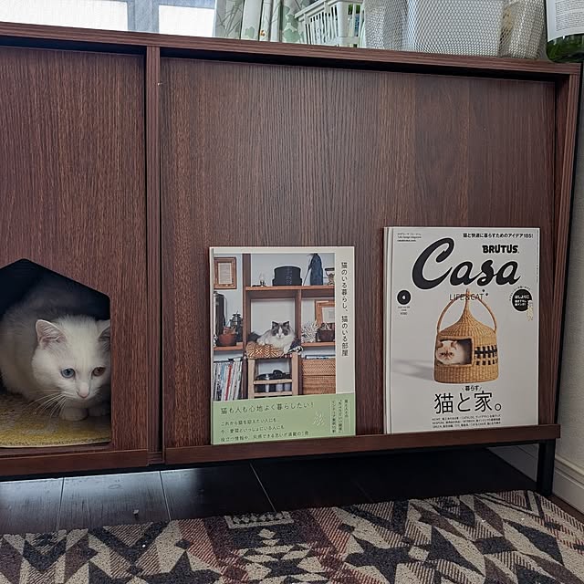 necoさんの部屋