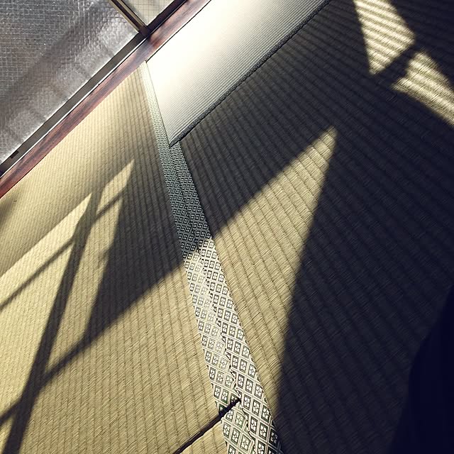 oneEさんの実例写真