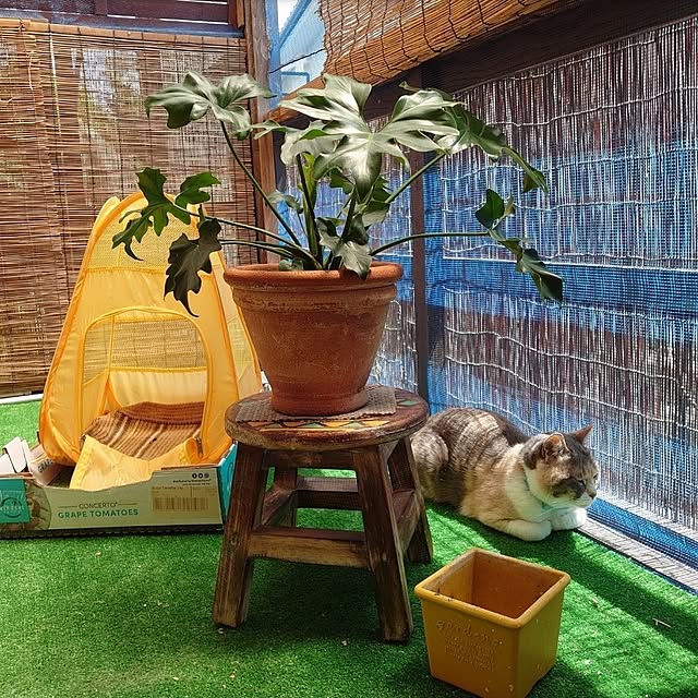 fukuさんの部屋