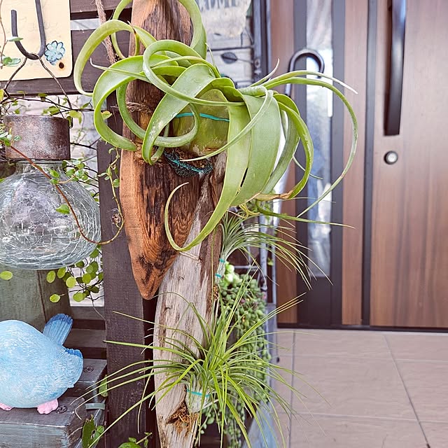 mocomocoさんの部屋