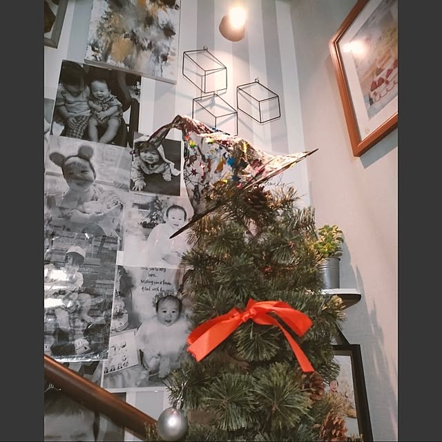 napiさんの部屋