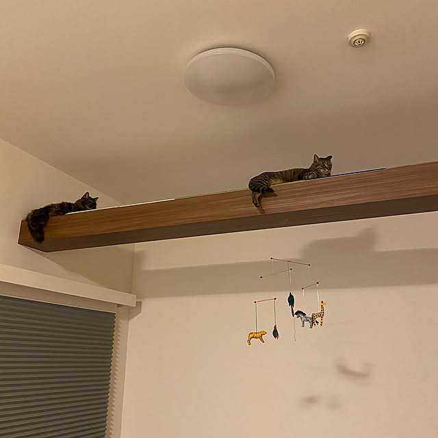 mikomaruさんの実例写真