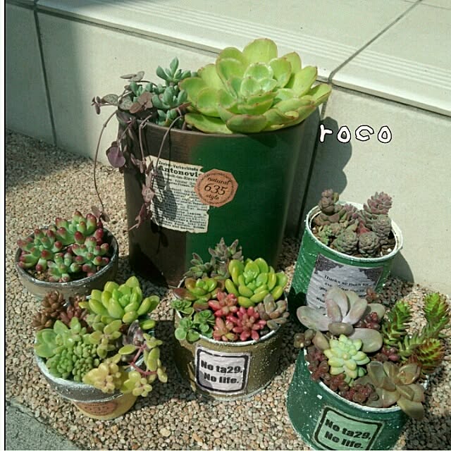 rocoさんの実例写真