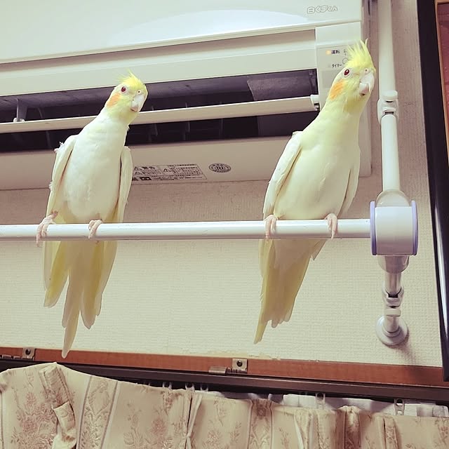 ANTENNAさんの実例写真