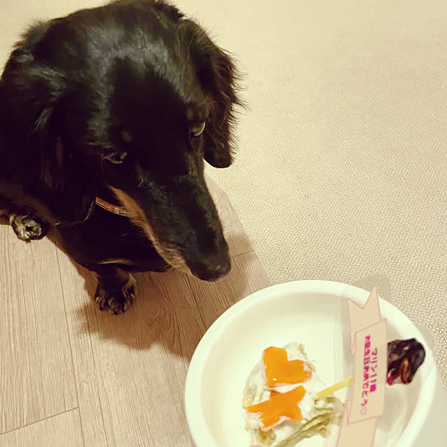 Maiさんの部屋