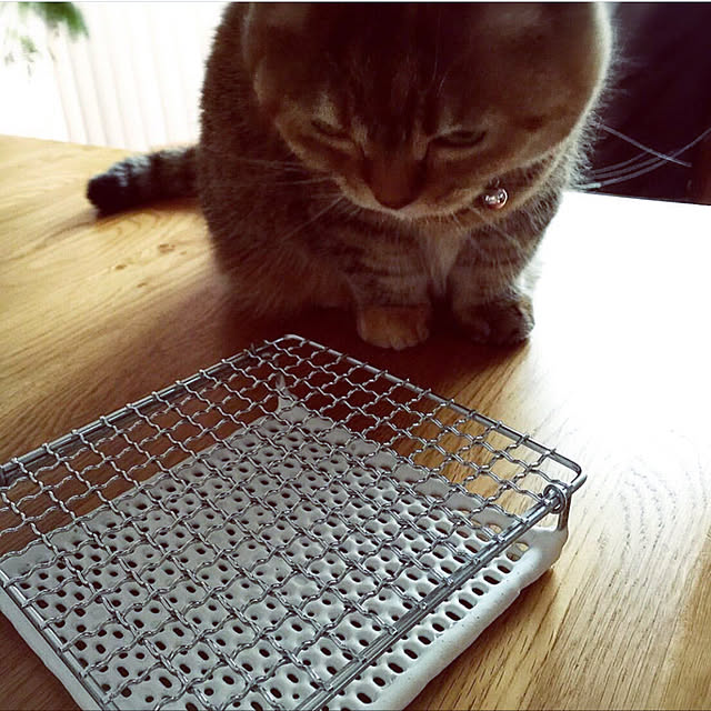 meloさんの実例写真