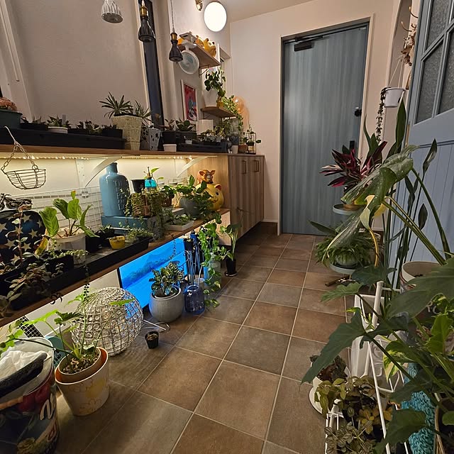 nonbiri_house_さんの実例写真