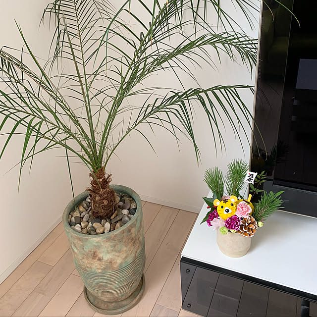 ヤシの木/観葉植物/テーブル/おうち時間/香りのある暮らし...などのインテリア実例 - 2022-01-16 18:07:42