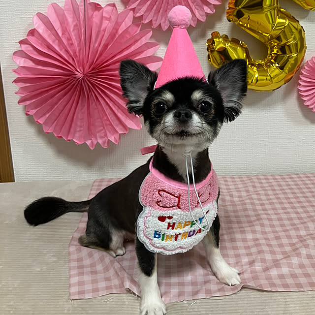 koroさんの実例写真