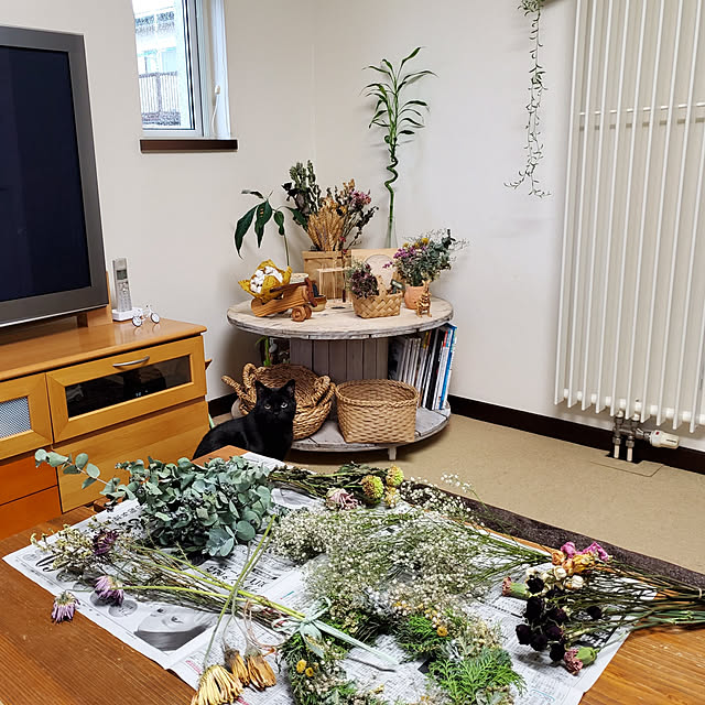 nanaさんの実例写真