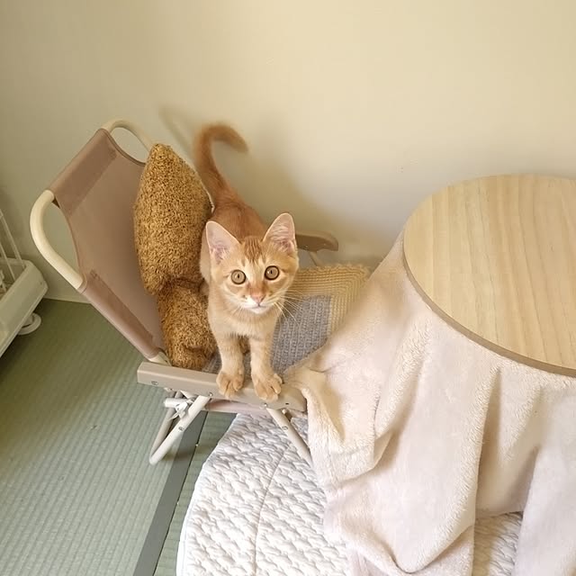 mayutan.さんの部屋