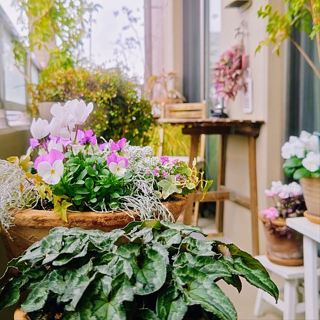 YuriYuriさんの部屋