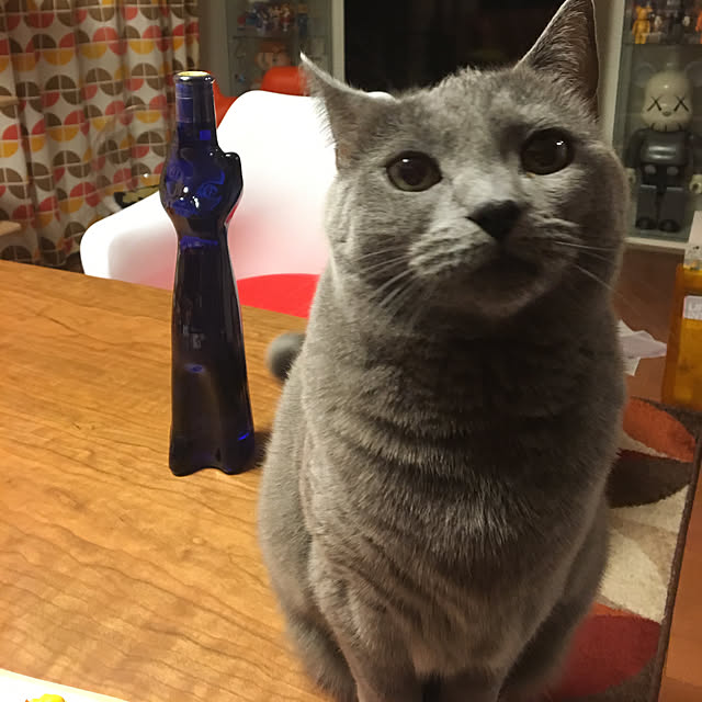 ikettenさんの実例写真