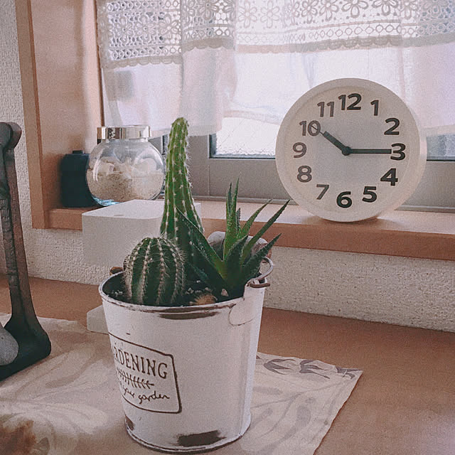 RoCoさんの実例写真