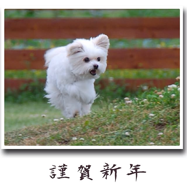 ksyanさんの実例写真
