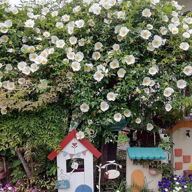 haruiroさんの部屋