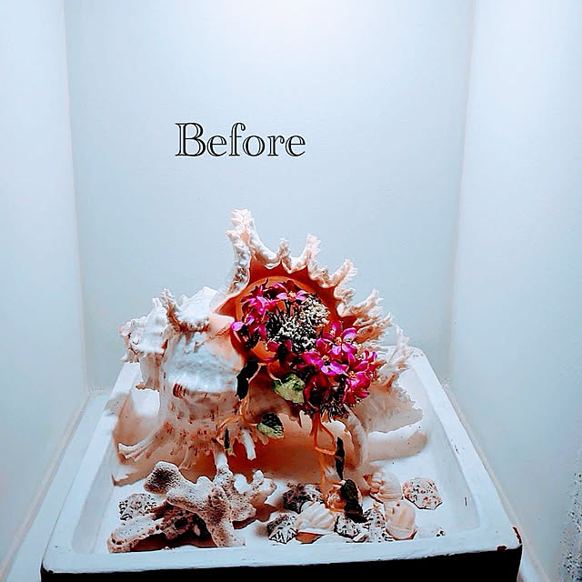 akaidarumaさんの部屋