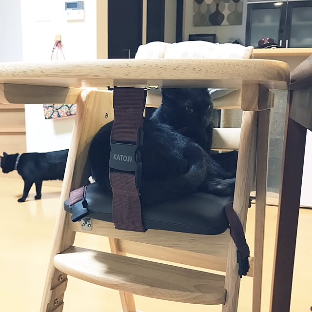 yuki0511さんの実例写真