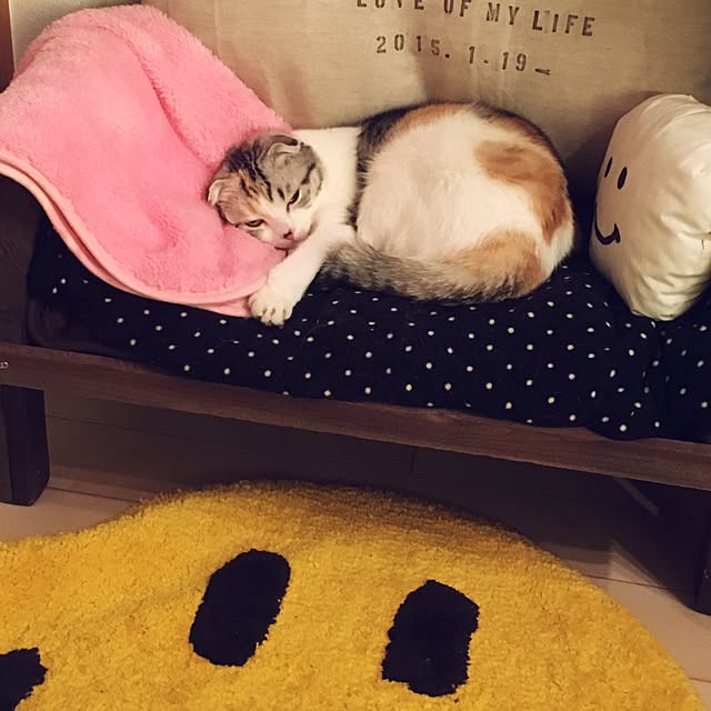 yokkochanさんの実例写真