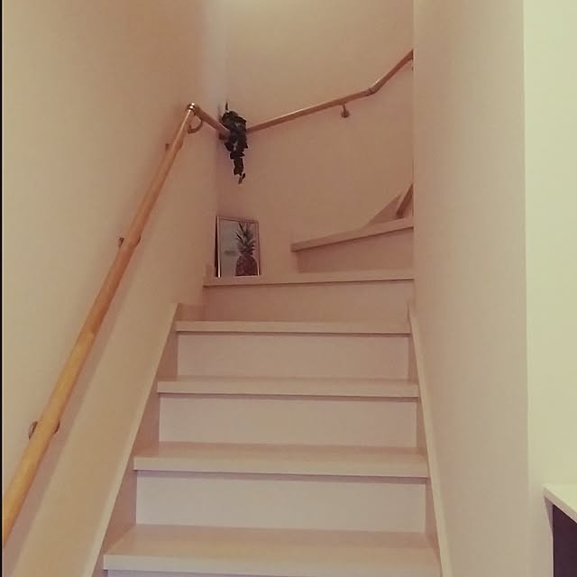 sumomoさんの部屋