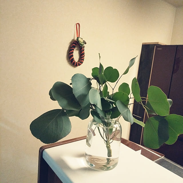 satoさんの実例写真