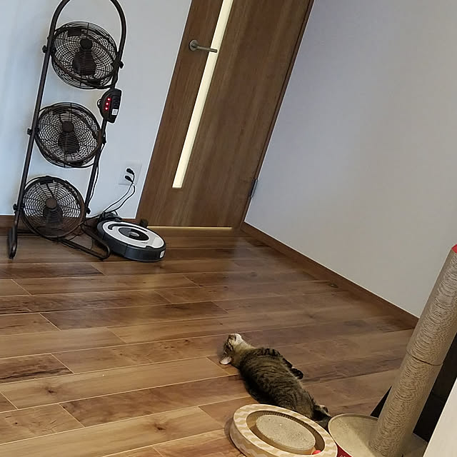 mamechiiさんの実例写真