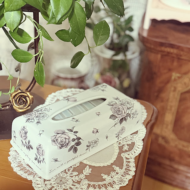 Nylさんの実例写真