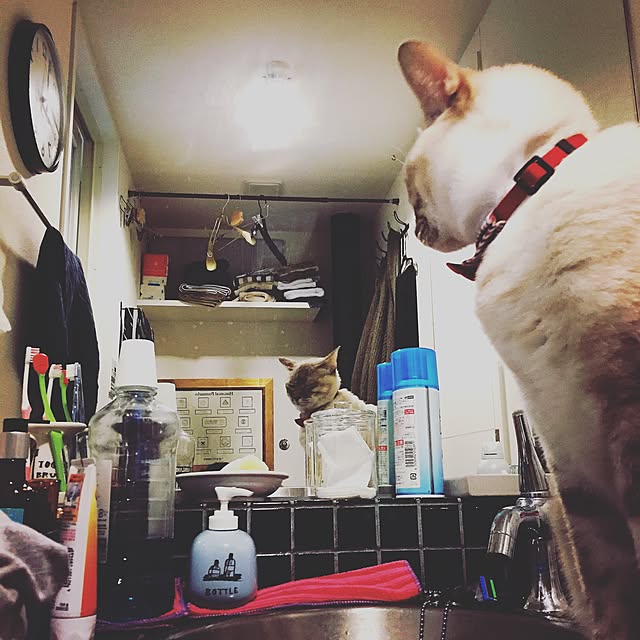 Naoki.さんの実例写真