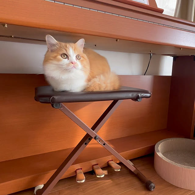 junさんの実例写真