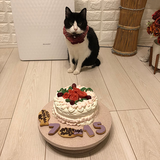 mikenekoさんの部屋