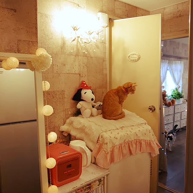 asuminさんの実例写真
