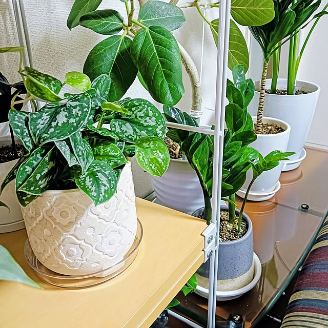 hanachanさんの部屋