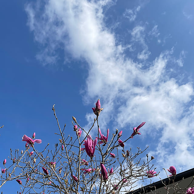 natsumiさんの部屋