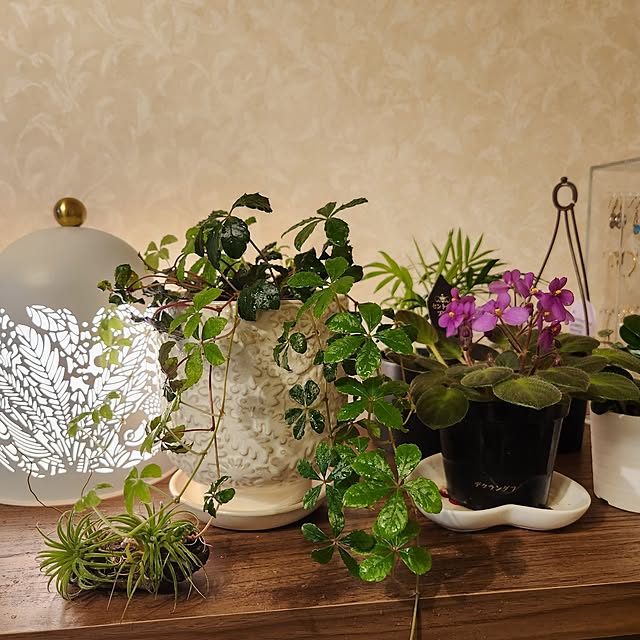 takoさんの実例写真