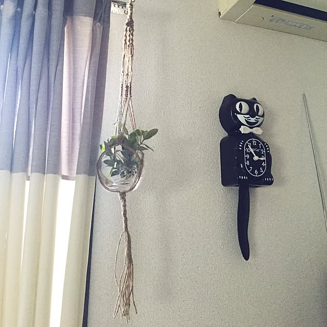 oscalさんの実例写真