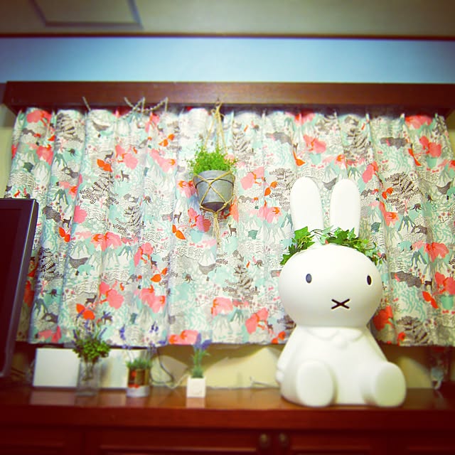 yuccoさんの実例写真