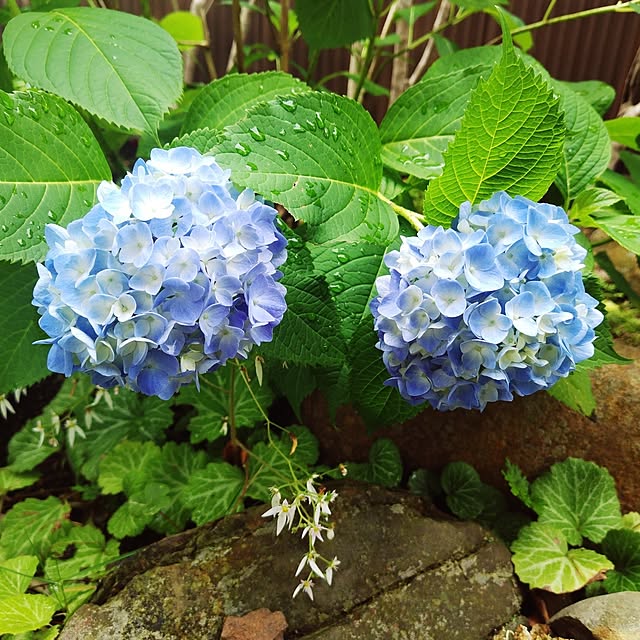 katさんの実例写真