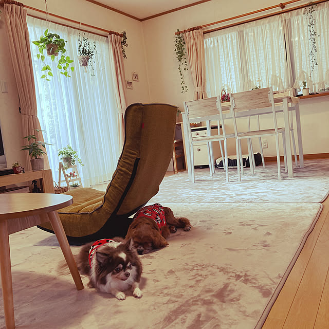 kanaさんの実例写真