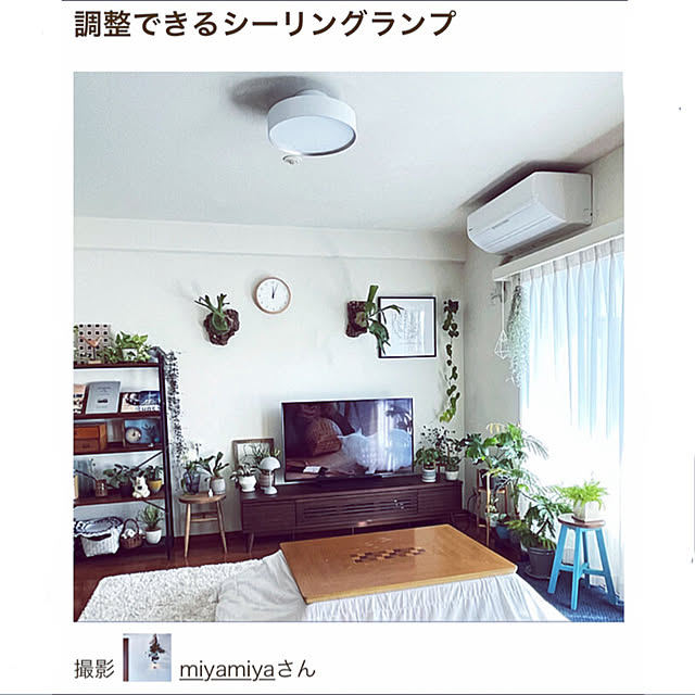 miyamiyaさんの実例写真